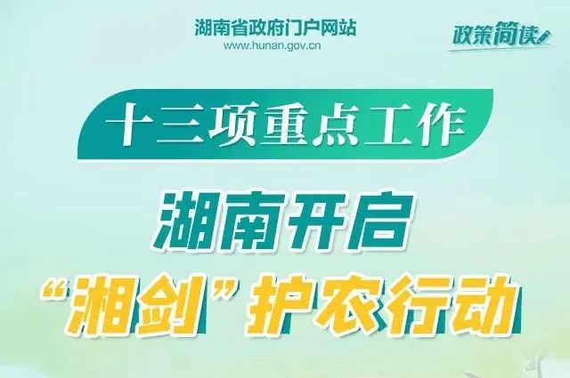 梅李最新職位招聘信息揭秘，求職者的福音！