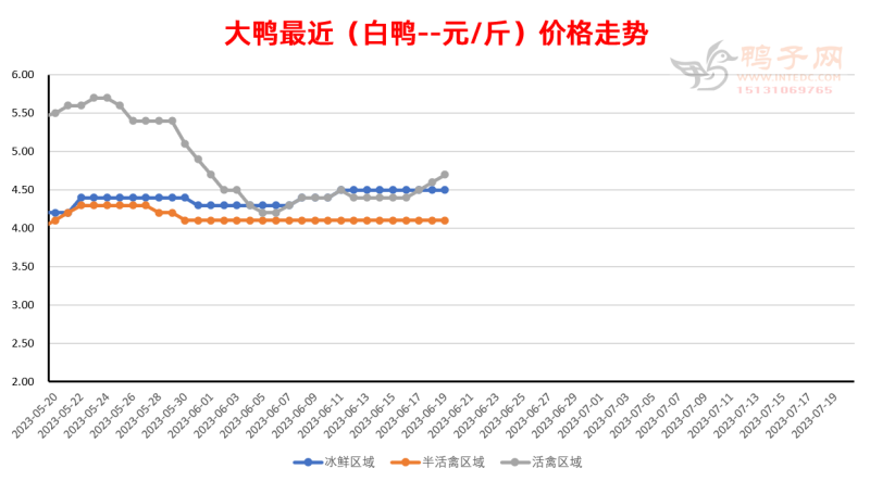 鴨毛行情分析，市場走勢與價(jià)格預(yù)測