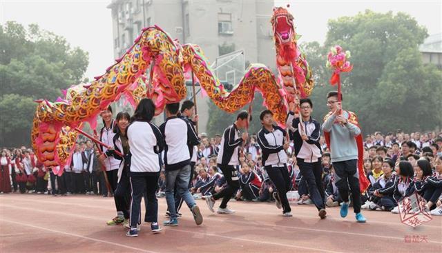 林依婷演員，星光魅力與隱藏小巷的傳奇故事