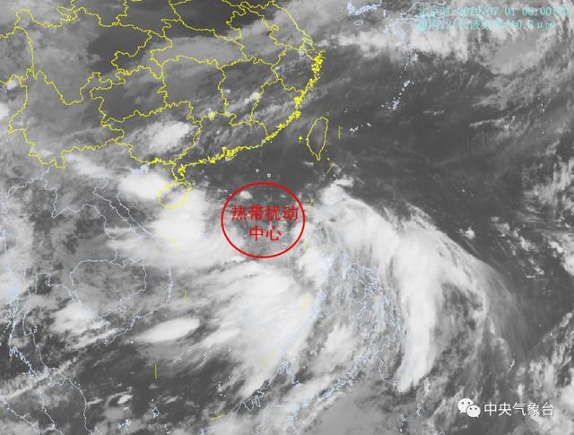 廣東臺(tái)風(fēng)最新資訊，實(shí)時(shí)更新與溫馨趣事分享