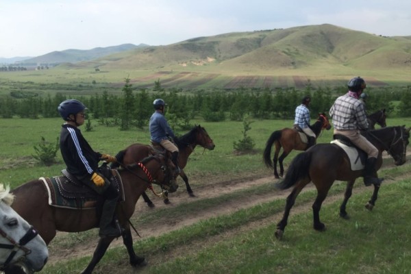 ＂2024澳門特馬今晚開獎(jiǎng)63期＂的：動(dòng)態(tài)解讀分析_同步版1.24