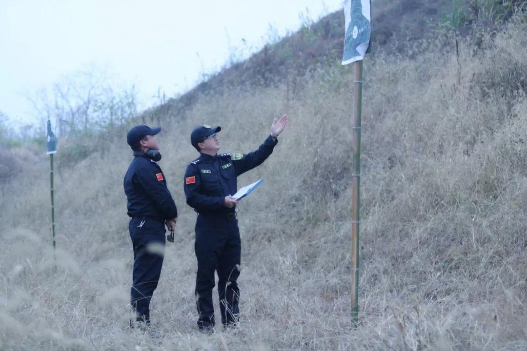 信陽重大交通事故回顧，一起事件及其深遠影響與影響分析