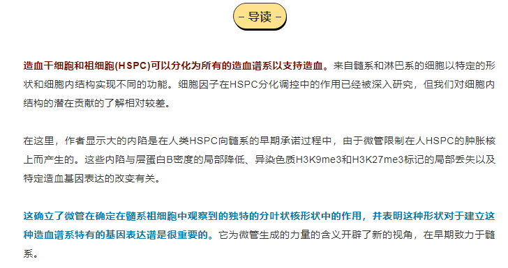 ＂管家婆2022澳門(mén)免費(fèi)資格＂的：實(shí)地研究解答協(xié)助_線上版2.48