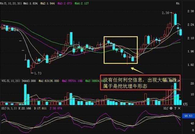 新能泰山最新公告發(fā)布，關(guān)注最新動(dòng)態(tài)與進(jìn)展